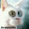 avatar_17[1]