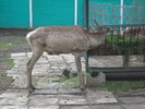 Picture 129