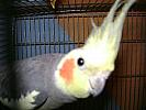 DSC02536