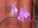DSCF0360