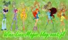 winx-linx