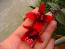 Picture 025