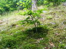 DSCF2576