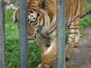 Picture 070