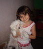 Kiva Bichon Maltese