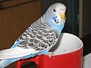 IMG_0203