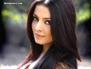Celina_Jaitley_579