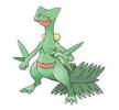 254sceptile