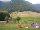 IMG_8384