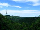 DSCF0600