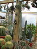 DSC05954