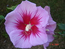 DSC00848