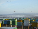 DSCF1903