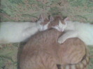 Imag042