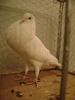 DSC08145