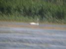 Copy of IMGA0971