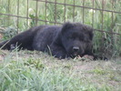 poze 04.05.2009 111