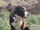 poze 01.05.2009 055