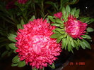 DSC02657