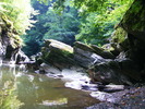 DSCF5198