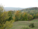 P1010847