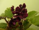 P1170280