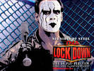 lockdown-sting_1024