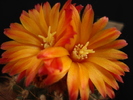 DSC09567