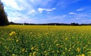 Planet Scenes 113