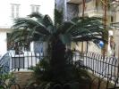 76 - Corfu city