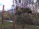Imag011