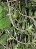 21 sept 2008 043