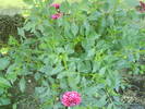 DSC00472