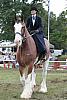 Clydesdale side saddle