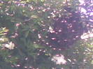 25052009(009)
