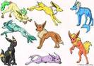 Pokemon_Real_Eevee_Evolutions_by_Shade_SilverWing