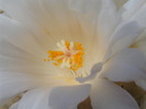 P9206834