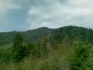 Copy of 22042008(011)