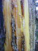 DSCF1059