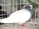 IMG_8626