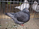 5382 t 0