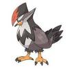 398staraptor