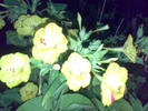04082009542