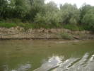 excursie delta dunarii 5062009 099