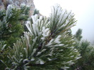 DSC04618