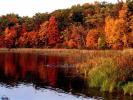 nature_400