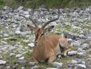 Animale%20vazute%20in%20Etosha%20National%20Park%20(2)