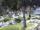 PICT0171