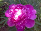 12052009838