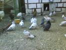 DSC01297